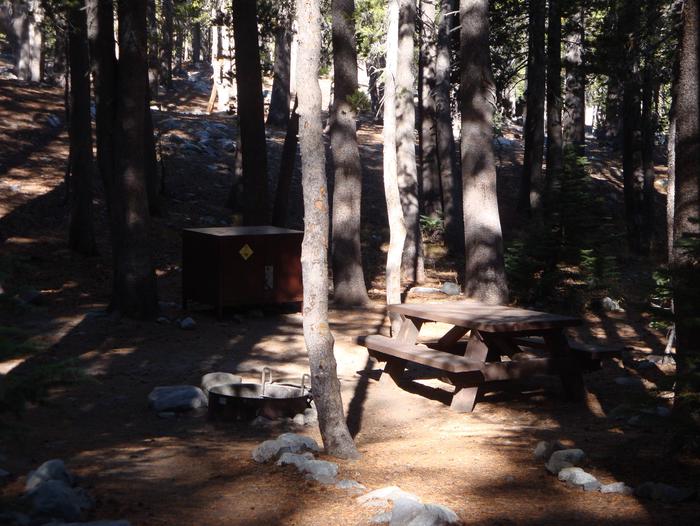 Coldwater Campground SITE 38