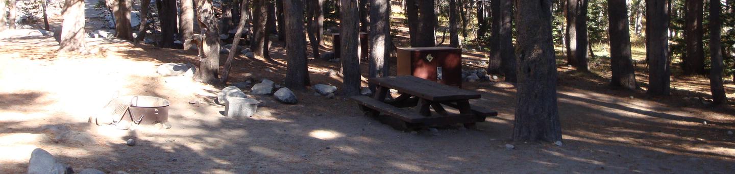 Coldwater Campground SITE 41