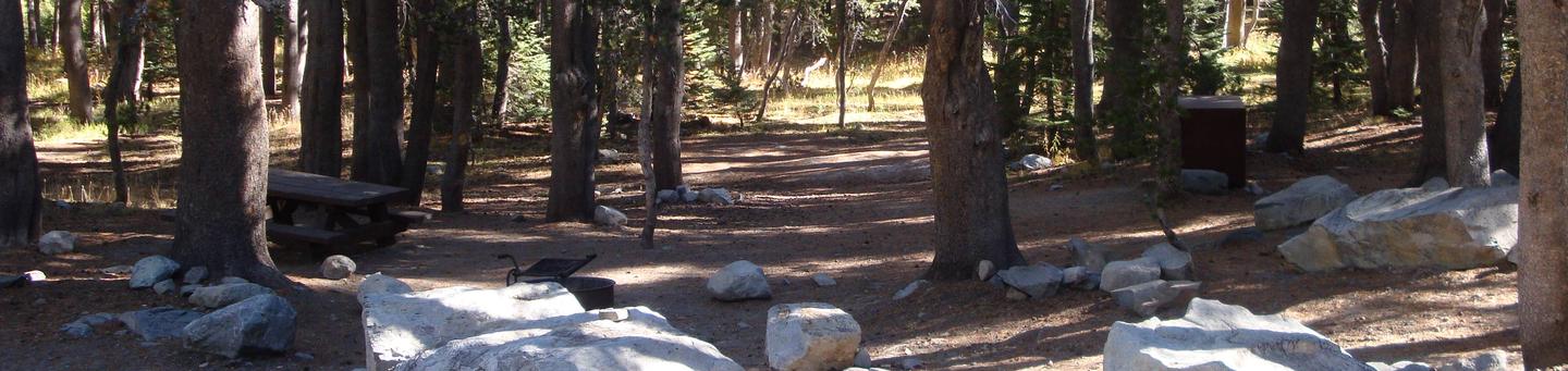 Coldwater Campground SITE 42