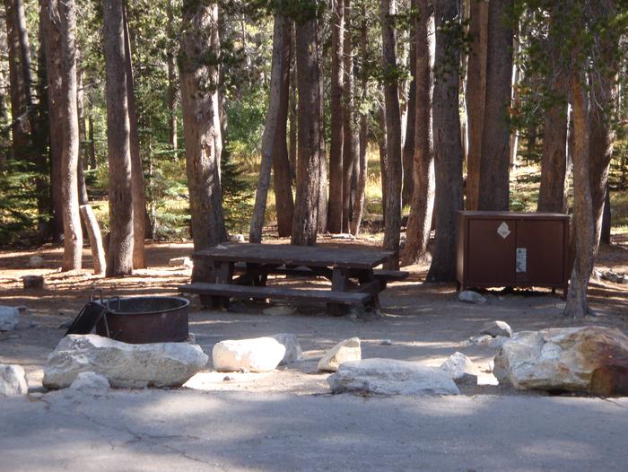 Coldwater Campground SITE 43