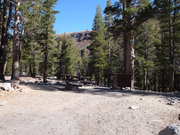 Coldwater Campground SITE 46