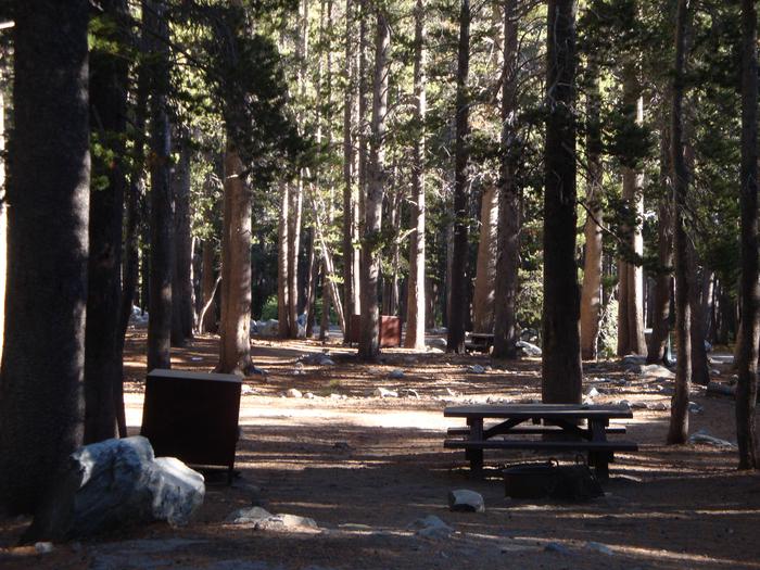 Coldwater Campground SITE 52