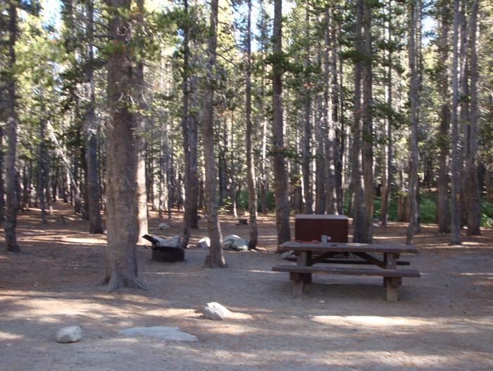 Coldwater Campground SITE 64