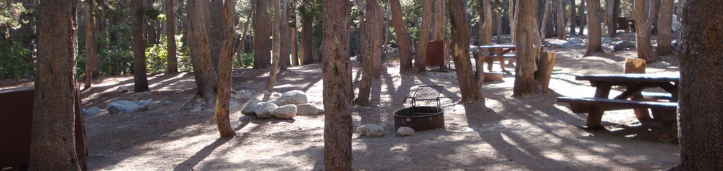 Coldwater Campground SITE 73
