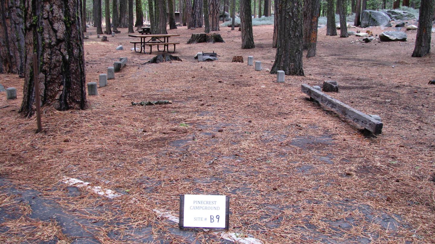 Paved site with picnic table and fire ringPinecrest Campground Site B9