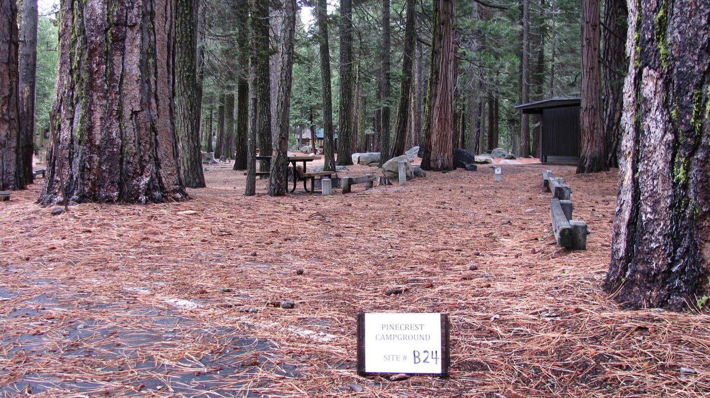 Paved site with picnic table and fire ringPinecrest Campground Site B24