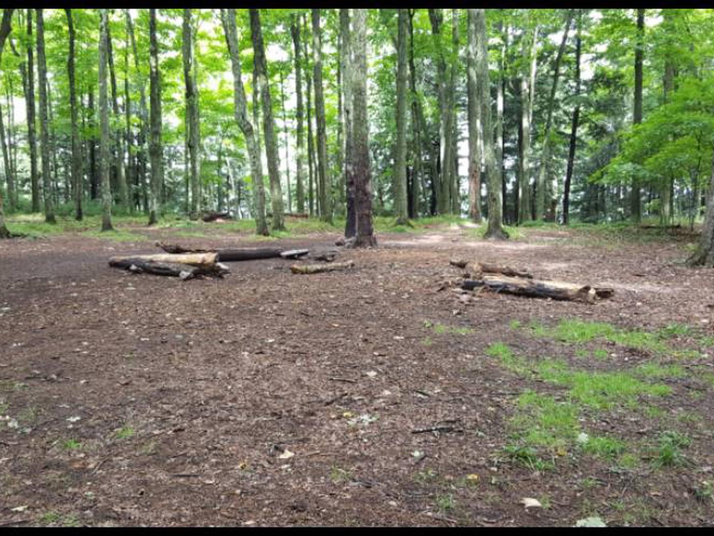 Site Loon, Sylvania Wilderness Backcountry Camping - Recreation.gov