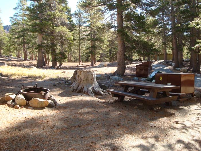 Lake Mary Campground SITE 7