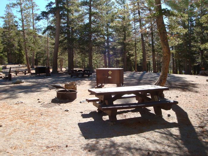 Lake Mary Campground SITE 12