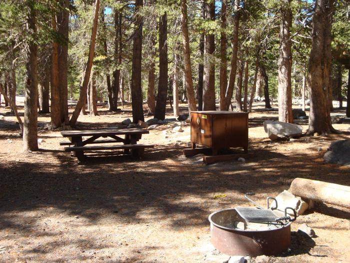 Lake Mary Campground SITE 41