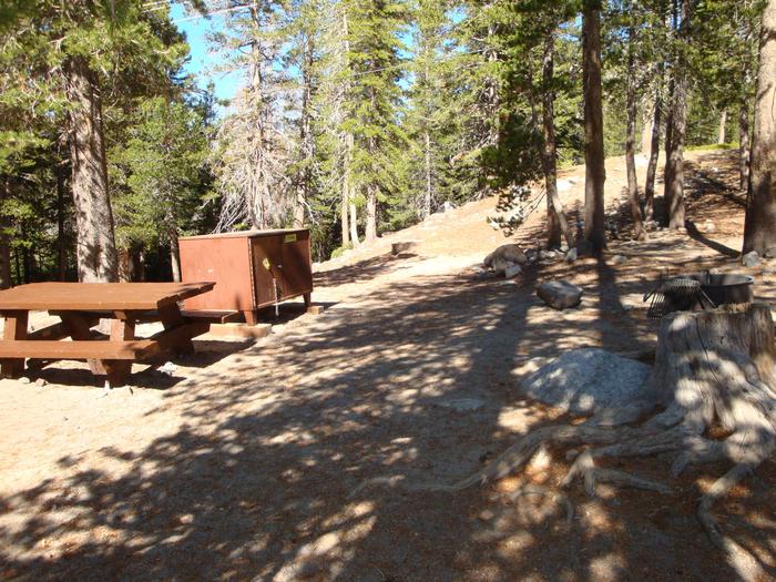 Lake Mary Campground SITE 50