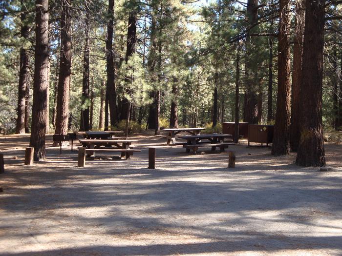 Pine Glen Campground SITE 14