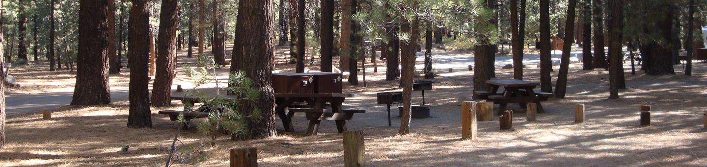 Pine Glen Campground SITE 20