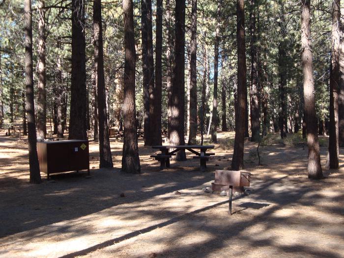 Pine Glen Campground SITE 16