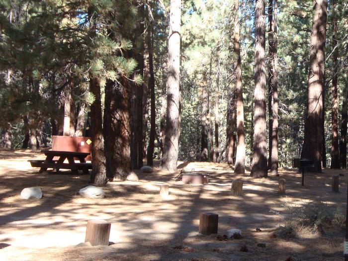 Pine Glen Campground SITE 19