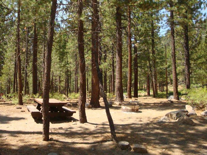Old Shady Rest Campground SITE 1