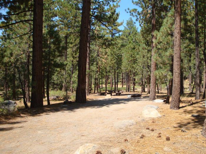 Old Shady Rest Campground SITE 4