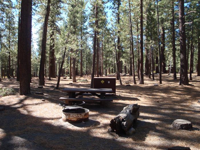 Old Shady Rest Campground SITE 5