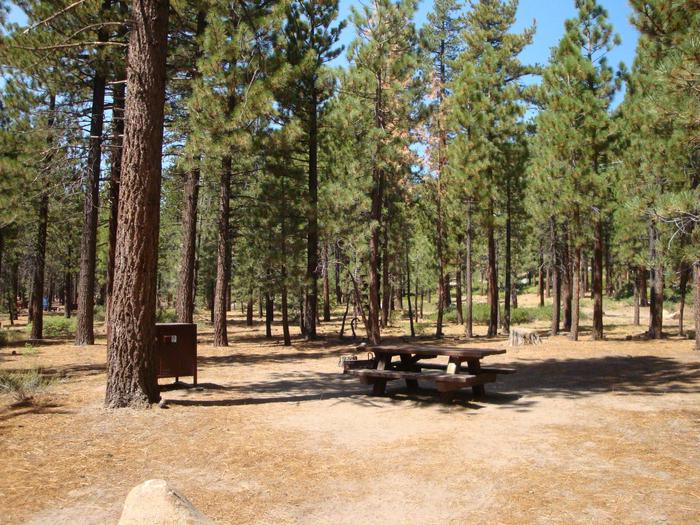 Old Shady Rest Campground SITE 6