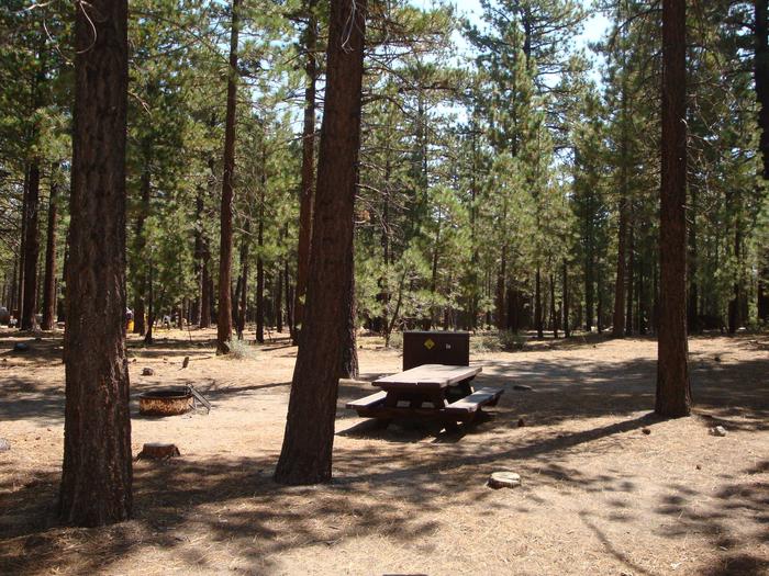 Old Shady Rest Campground SITE 7