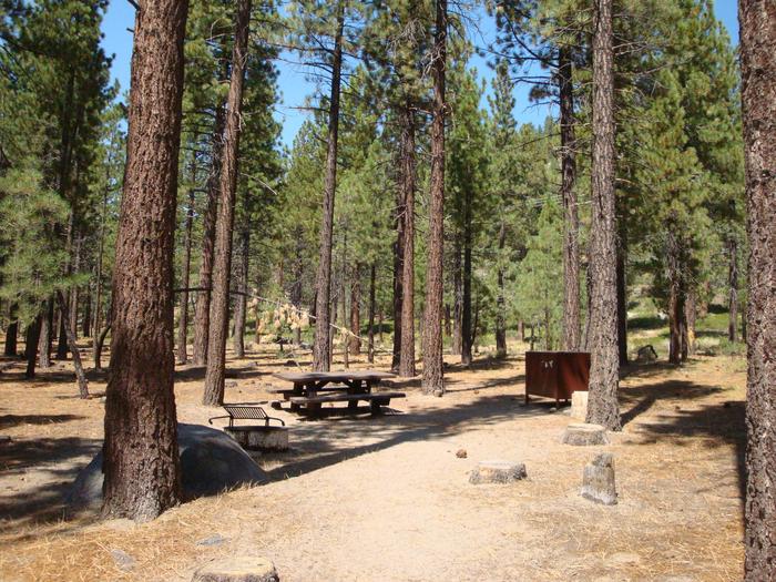 Old Shady Rest Campground SITE 8