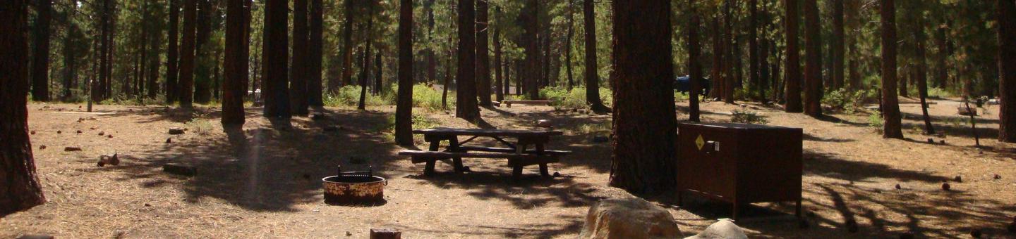Old Shady Rest Campground SITE 9