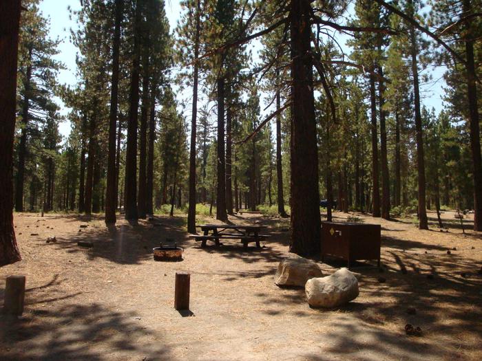 Old Shady Rest Campground SITE 9