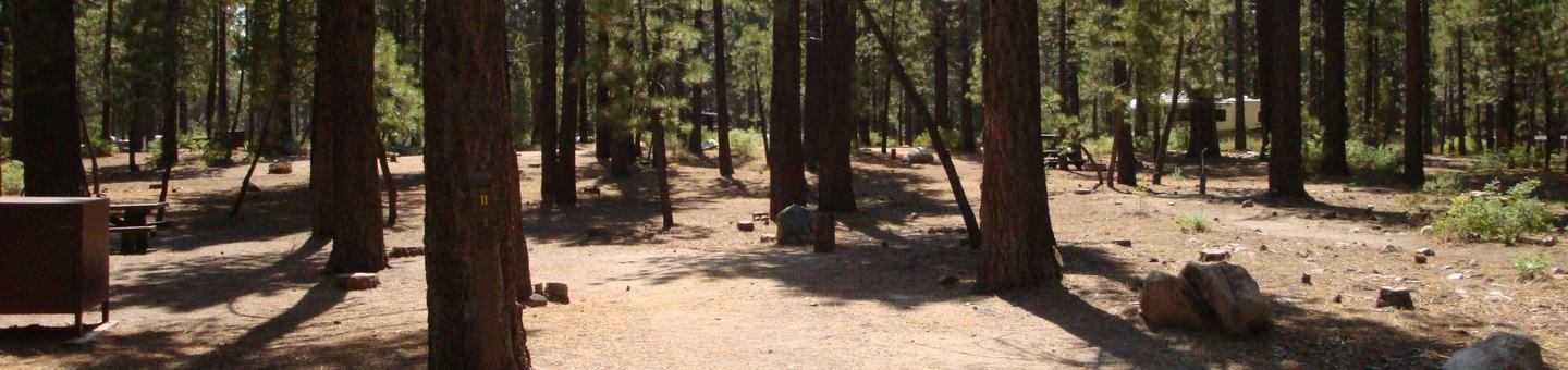 Old Shady Rest Campground SITE 11