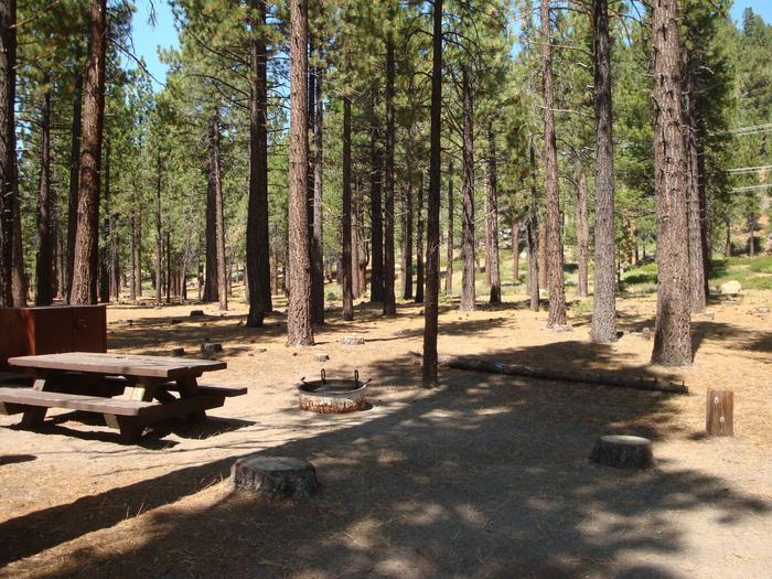 Old Shady Rest Campground SITE 12