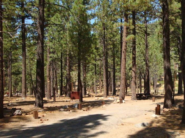 Old Shady Rest Campground SITE 14
