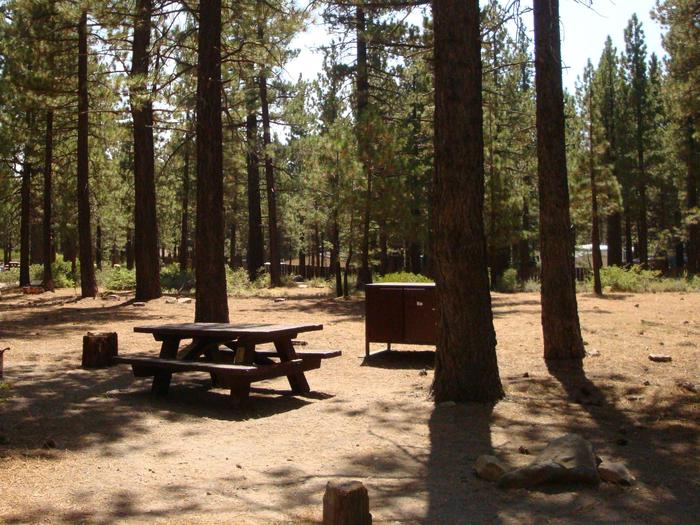 Old Shady Rest Campground SITE 15