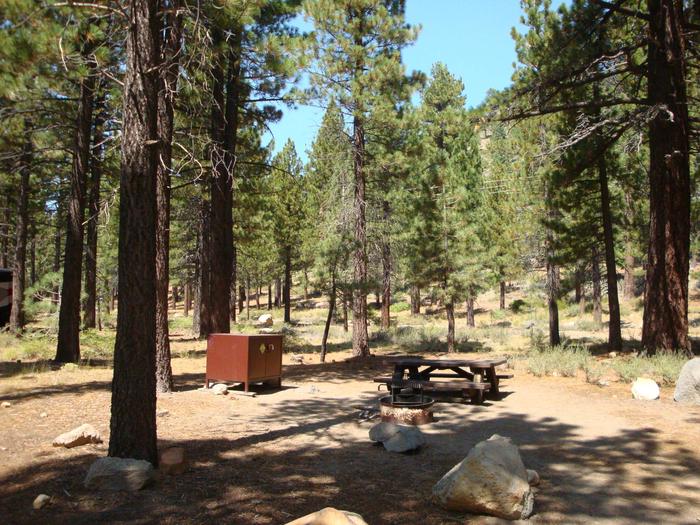 Old Shady Rest Campground SITE 18