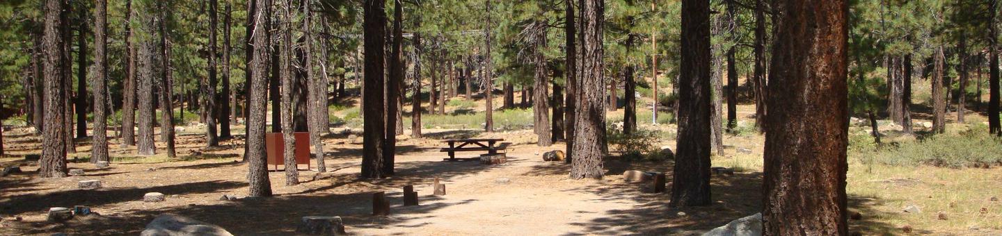 Old Shady Rest Campground SITE 20