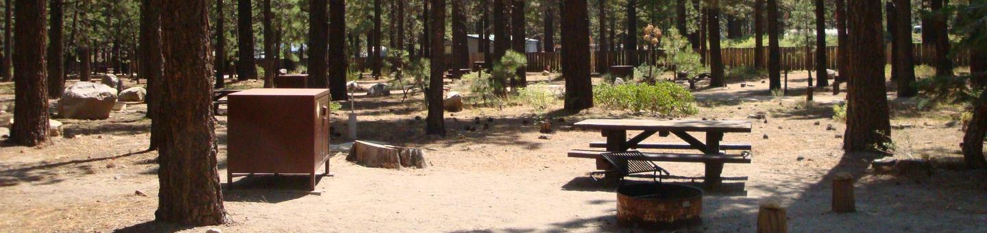 Old Shady Rest Campground SITE 21