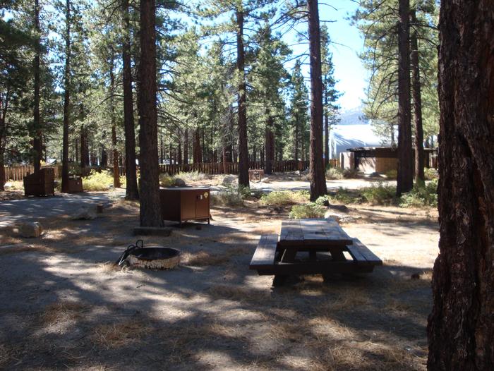 Old Shady Rest Campground SITE 26