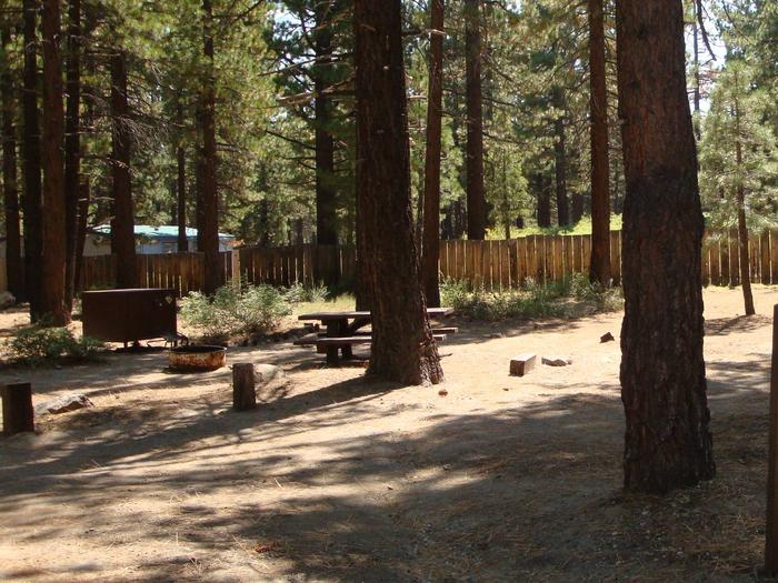 Old Shady Rest Campground SITE 27