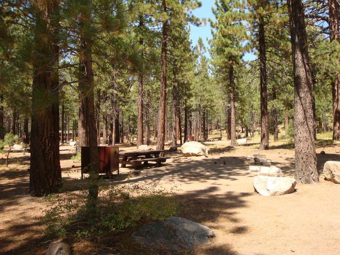 Old Shady Rest Campground SITE 28
