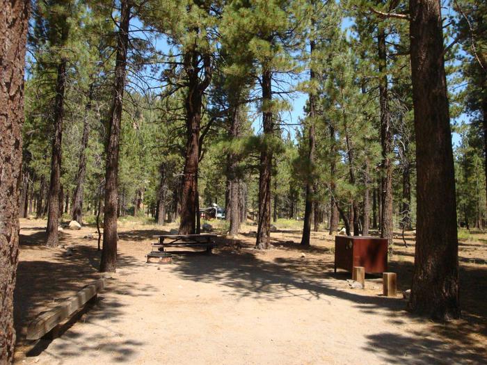 Old Shady Rest Campground SITE 30