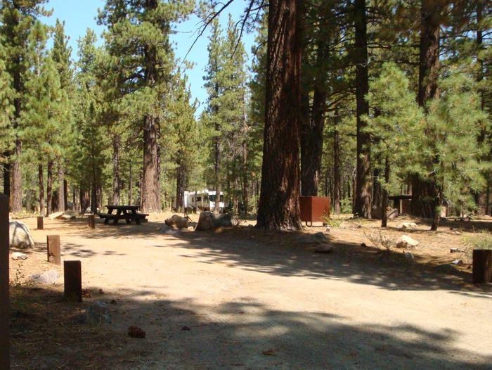 Old Shady Rest Campground SITE 32