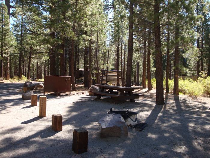 Old Shady Rest Campground SITE 37