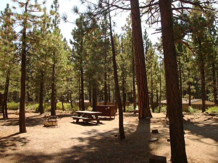 Old Shady Rest Campground SITE 36