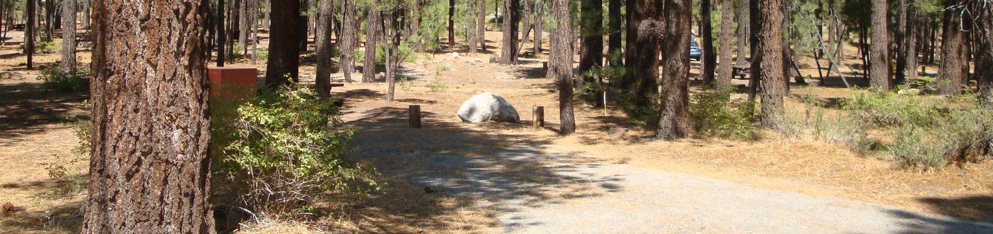 Old Shady Rest Campground SITE 38