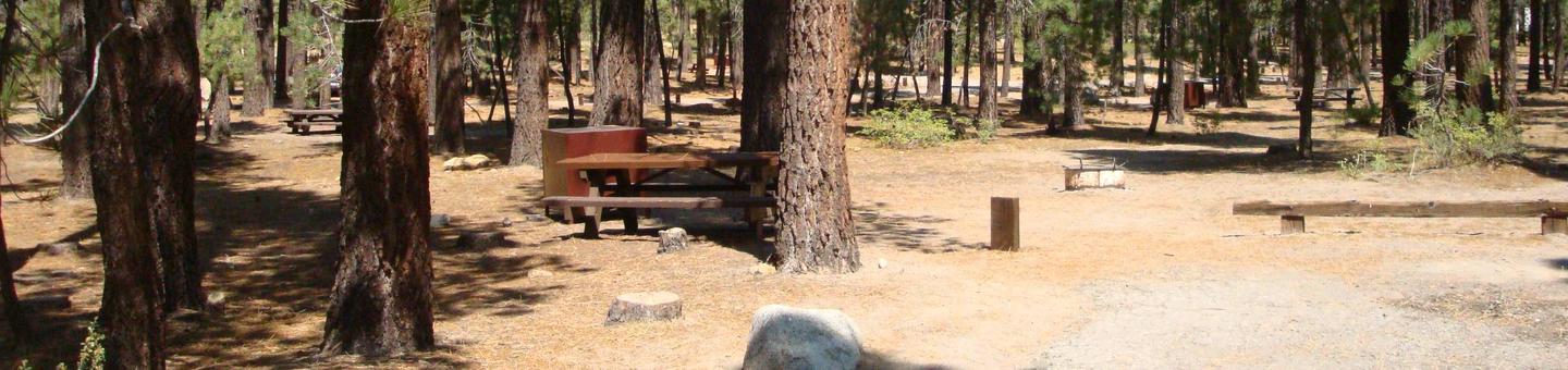 Old Shady Rest Campground SITE 40