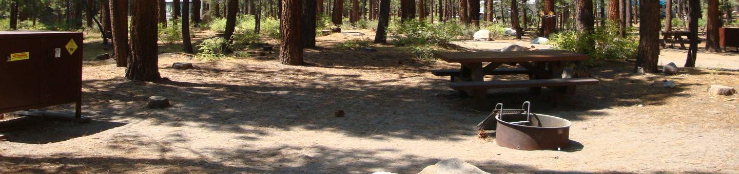 Old Shady Rest Campground SITE 44