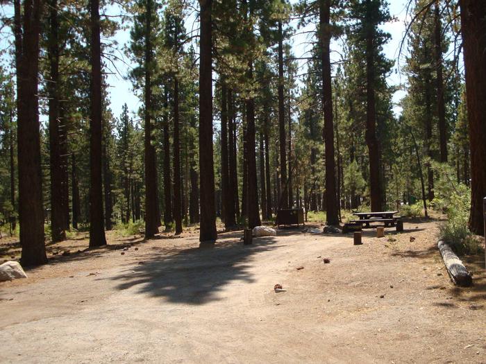 Old Shady Rest Campground SITE 45