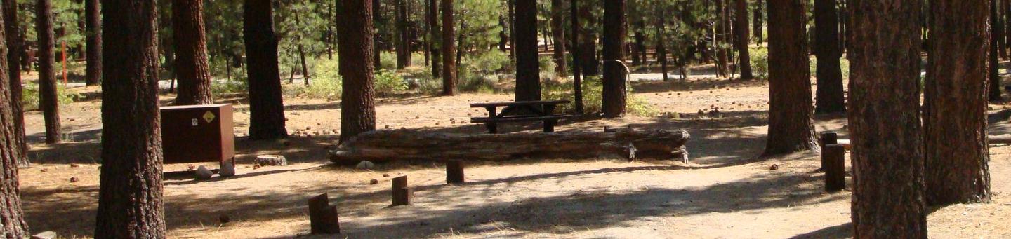 Old Shady Rest Campground SITE 46