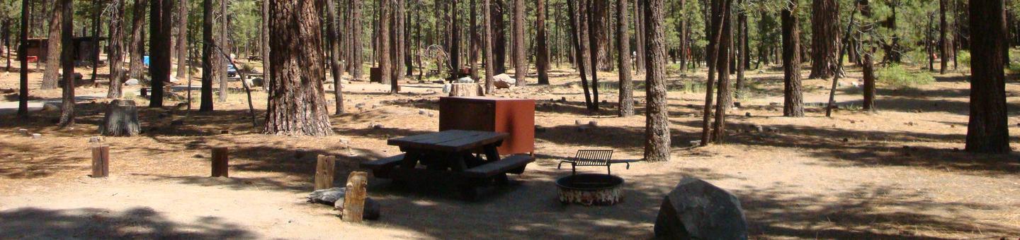 Old Shady Rest Campground SITE 47