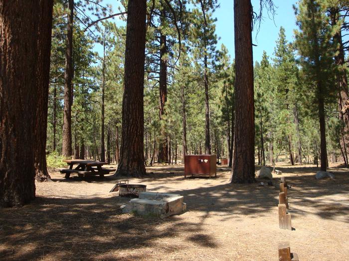 Old Shady Rest Campground SITE 48