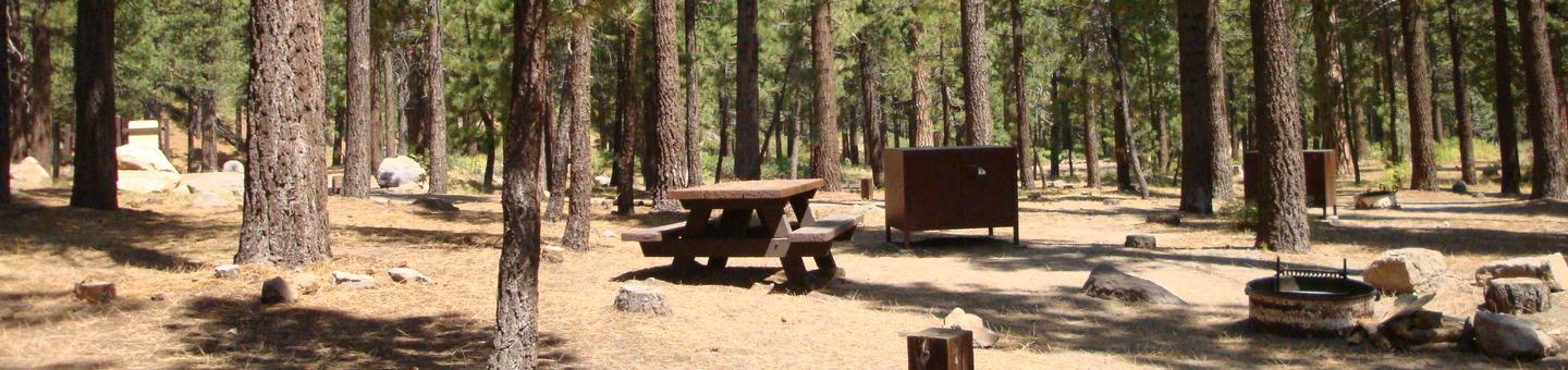 Old Shady Rest Campground SITE 51