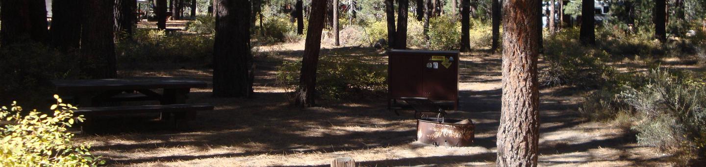 New Shady Rest Campground SITE 72
